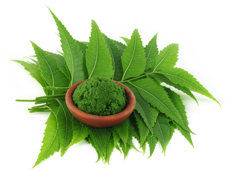 neem powder benefits