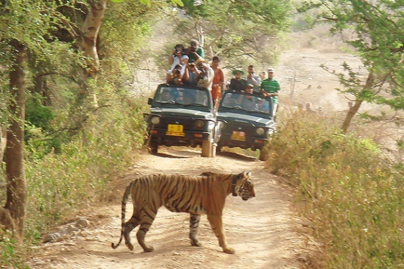 parks in madhya pradesh