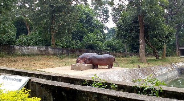 parks-in-tripura-sipahijola-wildlife-sanctuary