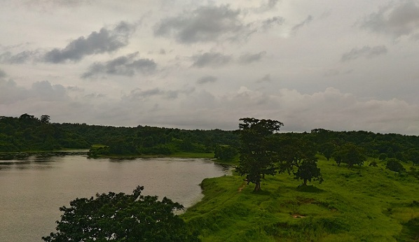 parks-in-tripura-trishna-wildlife-sanctuary