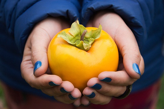 Persimmon During Pregnancy 2