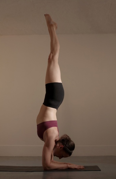 pincha mayurasana