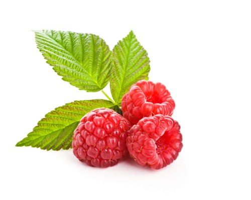 Raspberry Leaf Tea During Pregnancy 2