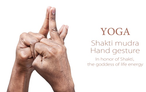 Shakti Mudra