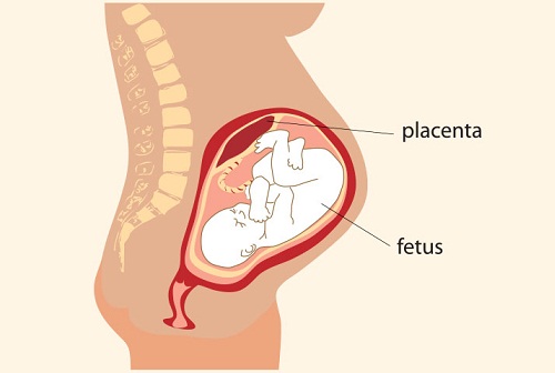 Spotting During Pregnancy 11