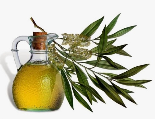 tea tree oil