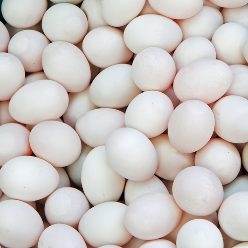 Eggs