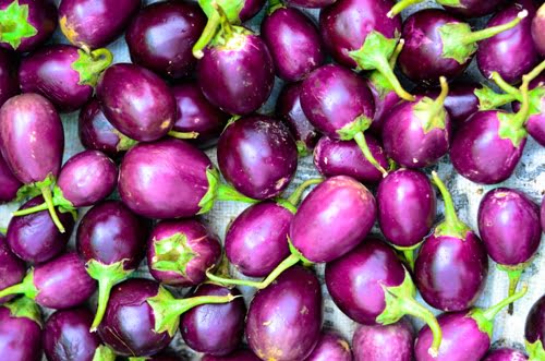 eating Brinjal during pregnancy