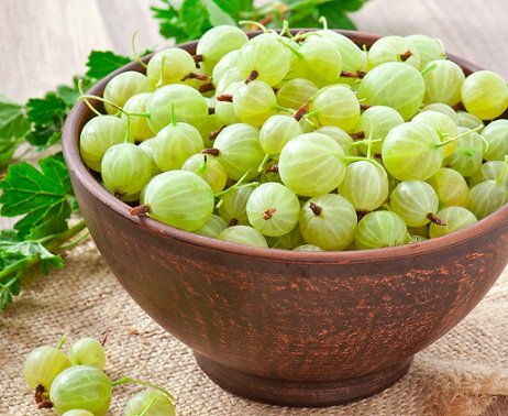 Gooseberry