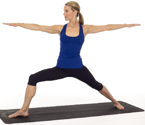 Veerasana (warrior Pose)