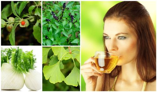 Effective Energy Boosting Herbs 1