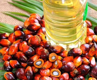 Palm Oils Foods With High Saturated Fat 