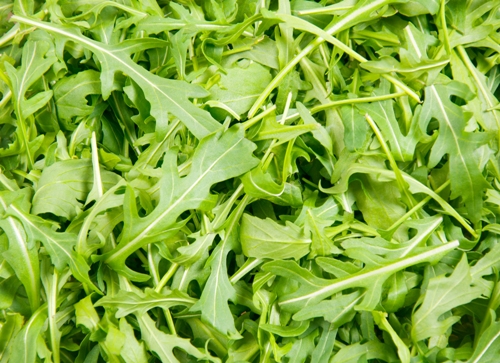 benefits of arugula