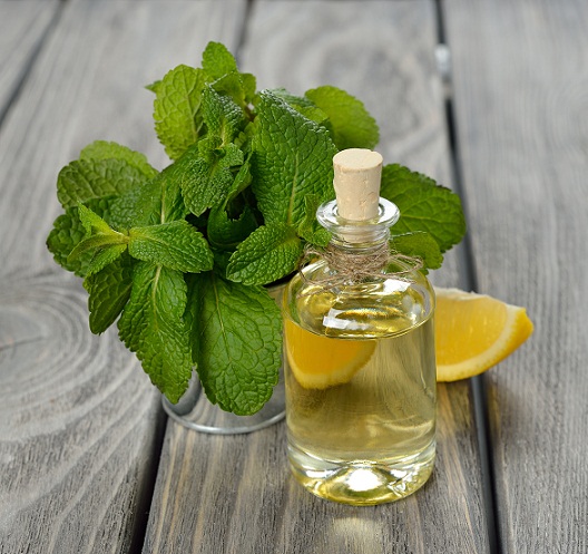 Peppermint oil and Lemon