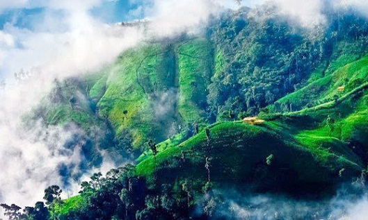 honeymoon places in bangladesh