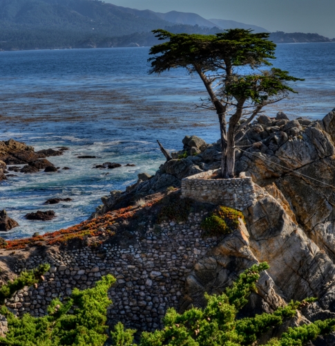 Honeymoon places in California Drive on the Monterrey Peninsula