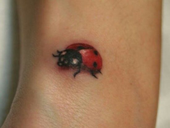 Lady Bug Tattoo Designs 7