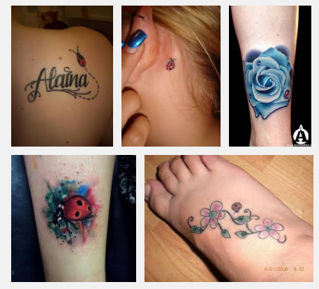 lady-bug-tattoo-designs-and-meanings