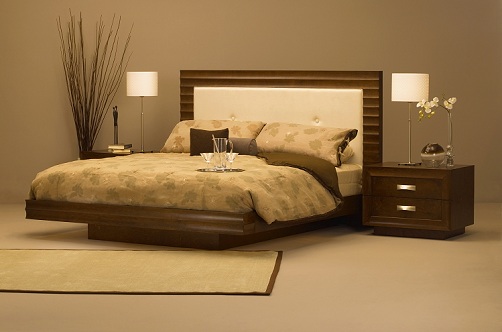 Stylish Designer Beds