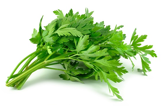 Avoid Teas During Pregnancy-Parsley Leaves tea