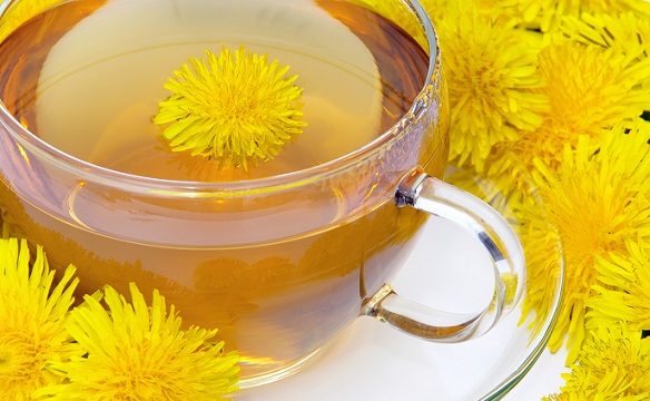 Teas During Pregnancy-Dandelion Tea