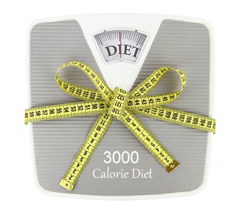 3000 Calorie Diet Plan