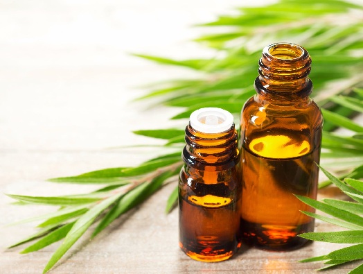 Tea Tree Oil to Reduce Cystic Acne