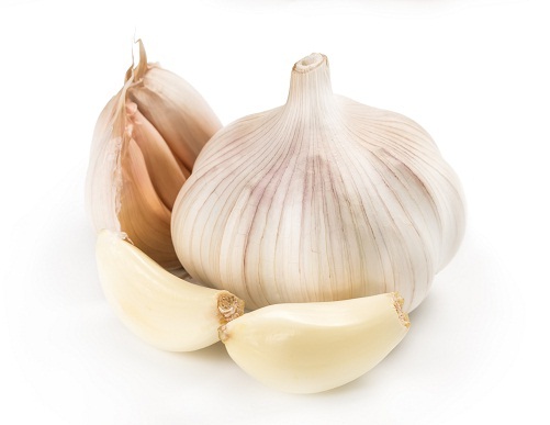 Garlic