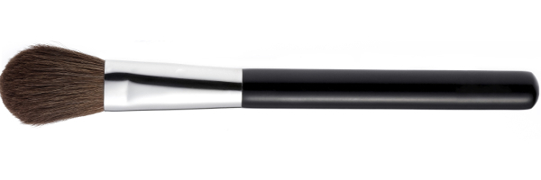 10 Makeup Brushes You NEED in Your Kit